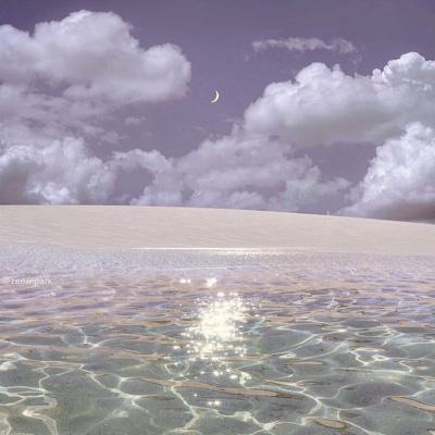 《星星的故乡》：书写戈壁滩上的紫色奇迹